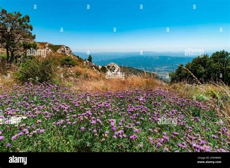 Ager Spain Landscape