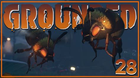 Aggressive Bee Grounded