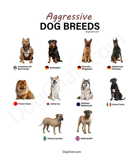 Aggressive Dog Breed List Ohio