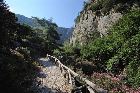 Crete’s Secret Trail: Agia Irini Gorge Review + Sougia Escape