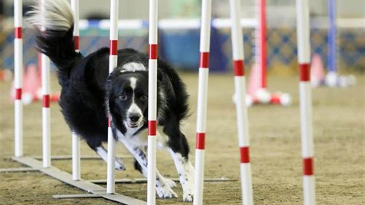 Agility, News