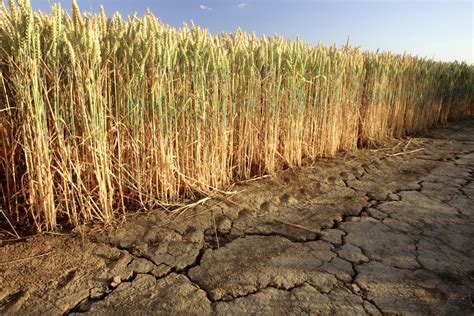 Agriculture in a Dry Climate