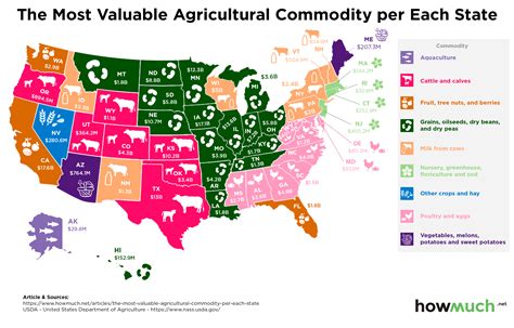 Crop Map Who Grows What in the U.S (With images) Agriculture facts
