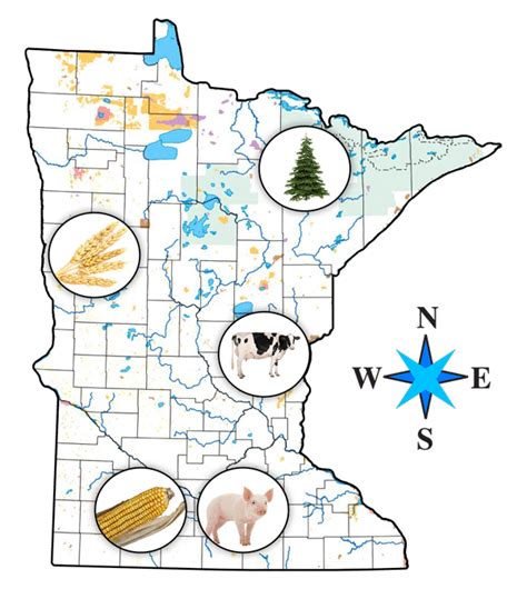 Buying and Selling Seed in Minnesota Minnesota Department of Agriculture
