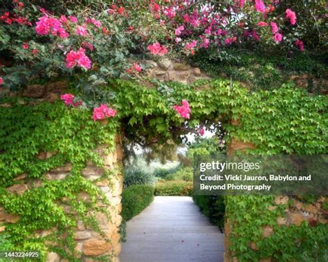 Agrigento Vineyard Entrance