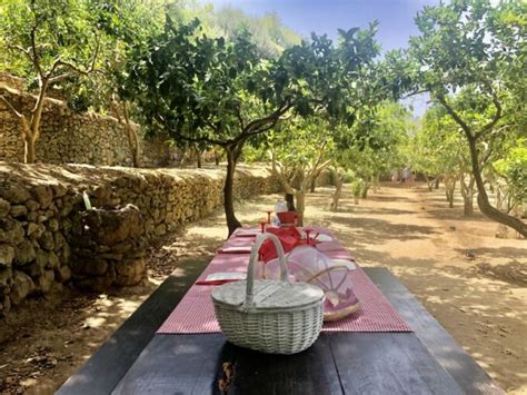 Agrigento picnic experience