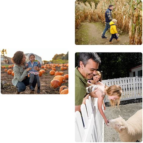 Agritainment Insurance Pumpkin Farm Insurance Morency & Associates