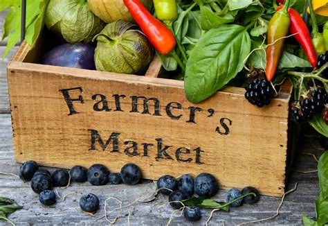 Agritourism & Local Markets