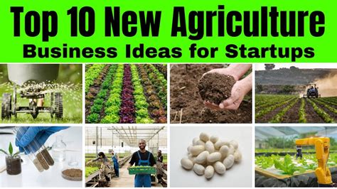 Agro Farming Business