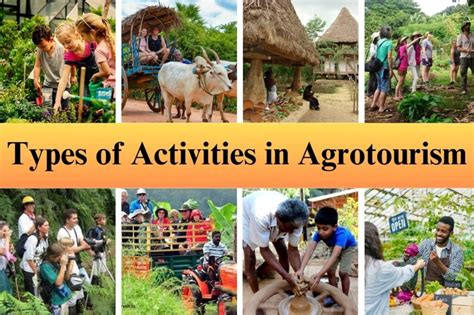 Agrotourism