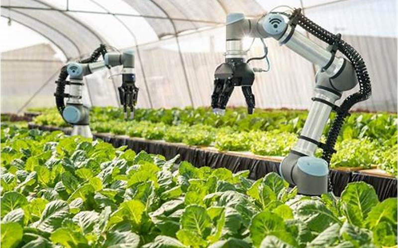 Ai In Agriculture: Cultivating The Future Of Farming