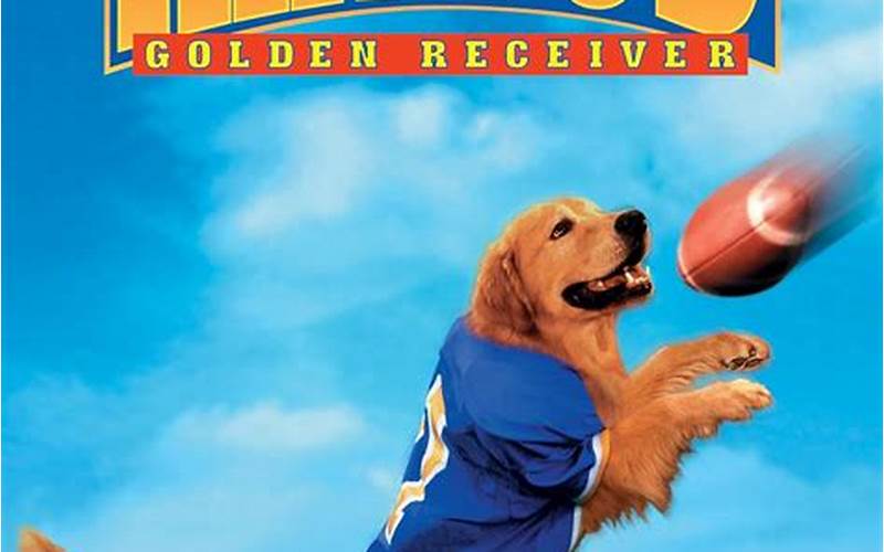 Air Bud Movie Football