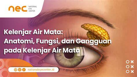 Air Mata