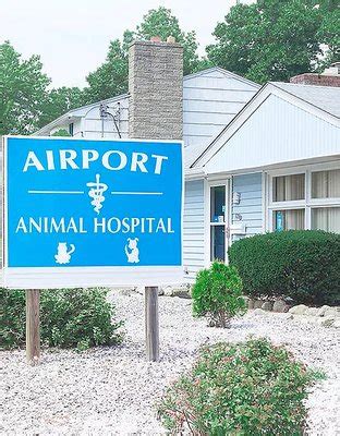 Exceptional Pet Care at Airport Animal Hospital Warwick, RI - Your Trusted Animal Healthcare Provider