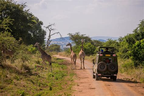 Akagera Safari Preparation
