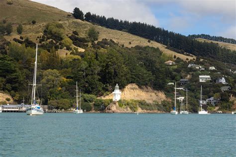 Akaroa Cruise Booking