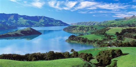 Akaroa Harbour Booking