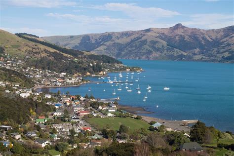 Akaroa Harbour Experience