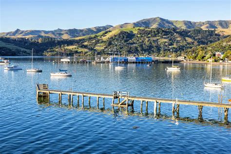 Akaroa Harbour Review