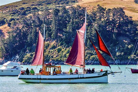 Akaroa Setting Sail