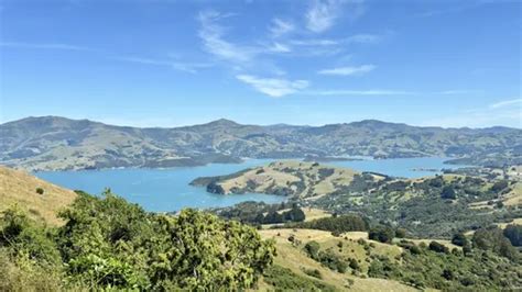 Akaroa Trails