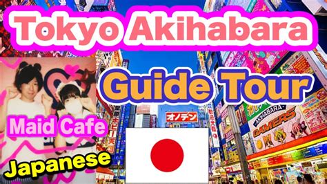 Akihabara Tour Guide