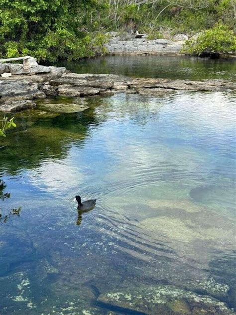 Akumal Muuch Kay Ecopark Review: Hidden Gem in Riviera Maya