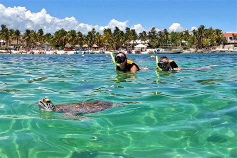 Akumal Turtle Tour FAQs