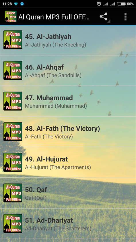 Al Quran Mp3 Full Offline