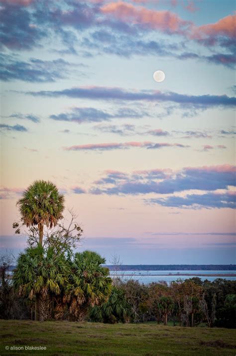 Alachua Lake Overlook