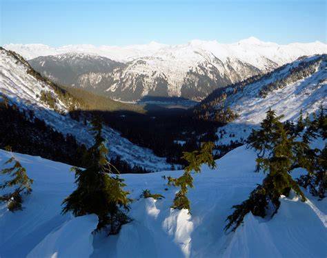 Alaska Winter Trails