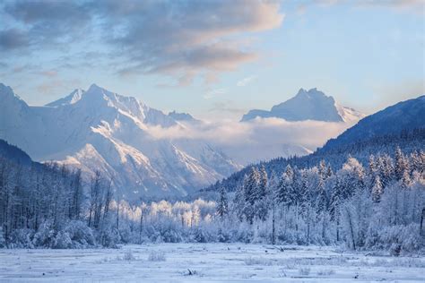 Alaskan Winter Landscape