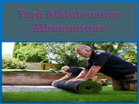 Albuquerque yard maintenance