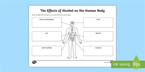Alcohol And Its Effects On The Body Worksheet Answers