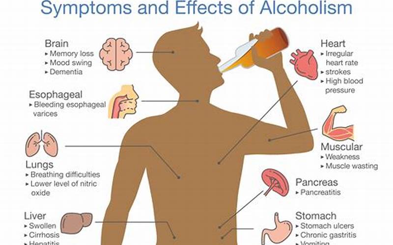 Alcohol Effects On Memory