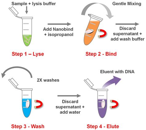 Alcohol-based DNA Stabilization