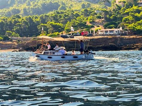 Alcudia Boat Tour Options