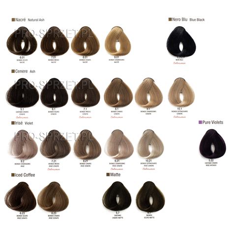 Decoding the Alfaparf Product Lines: Which One Is Right for You?