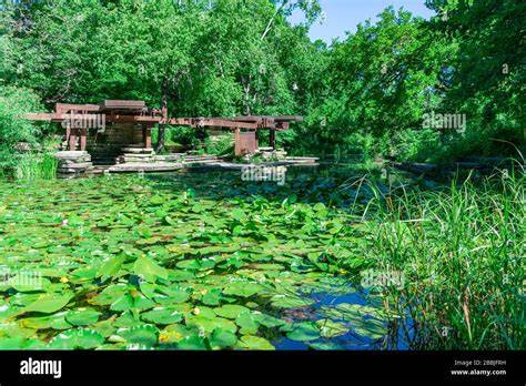 Alfred Caldwell Lily Pool