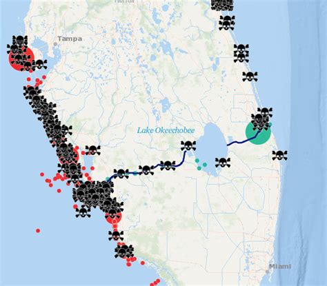 Florida declares a State of Emergency after a toxic algae bloom Daily