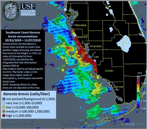Florida declares a State of Emergency after a toxic algae bloom Daily