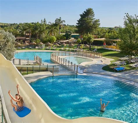 Algoz Zoo presentations