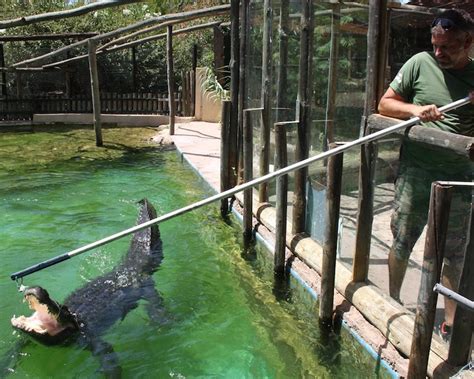 Algoz Zoo restaurant