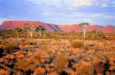 Alice Springs Landscape