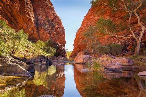 Discover the Heart of Australia: Unfold The Magic of Alice Springs Travel Packages