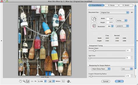 Experience Ethereal Enlargement: Amplify Your Images with Alien Skin Blow Up