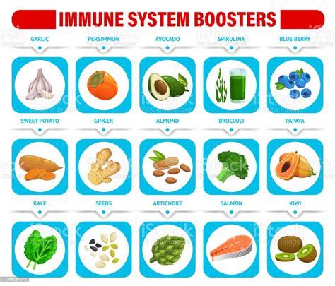 Aliments Boosters Système Immunitaire