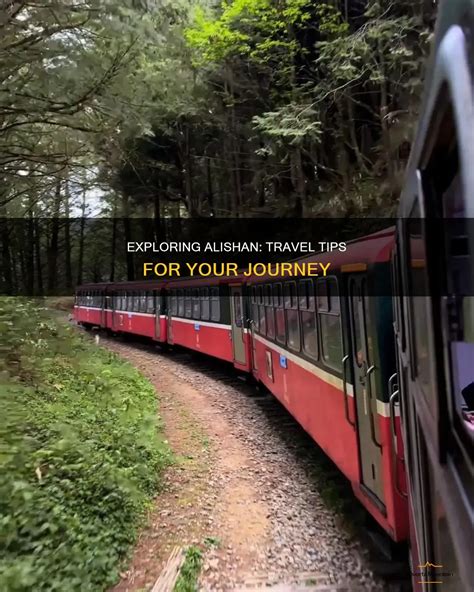 Alishan Travel Tips