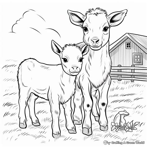 All Baby Farm Animal Coloring Page