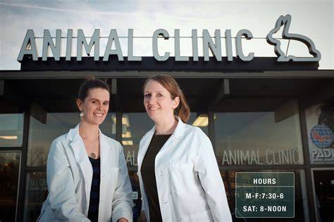 Expert Animal Care Services at All Creatures Animal Clinic in Ann Arbor